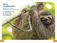 Alternative view 2 of DK Super Readers Level 1 Spanish Bilingual Jungle Animals â? Animales de la selva