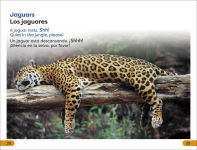 Alternative view 5 of DK Super Readers Level 1 Spanish Bilingual Jungle Animals â? Animales de la selva