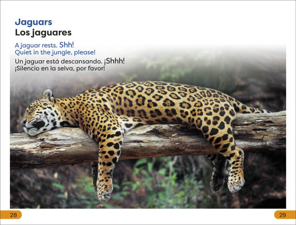 DK Super Readers Level 1 Spanish Bilingual Jungle Animals â? Animales de la selva