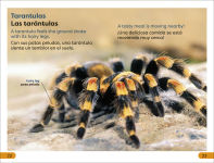 Alternative view 6 of DK Super Readers Level 1 Spanish Bilingual Jungle Animals â? Animales de la selva