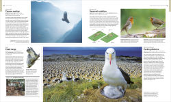 Alternative view 11 of Animal Behavior: Stories of Instinct, Intelligence, and Adaptation