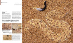 Alternative view 14 of Animal Behavior: Stories of Instinct, Intelligence, and Adaptation