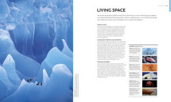 Alternative view 2 of Animal Behavior: Stories of Instinct, Intelligence, and Adaptation