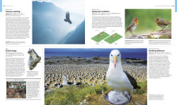 Alternative view 3 of Animal Behavior: Stories of Instinct, Intelligence, and Adaptation
