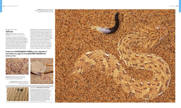 Animal Behavior: Stories of Instinct, Intelligence, and Adaptation
