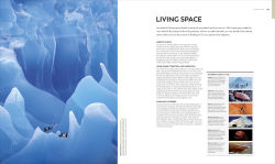 Alternative view 9 of Animal Behavior: Stories of Instinct, Intelligence, and Adaptation