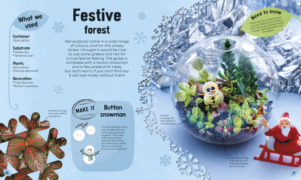 Magical Miniature Worlds: 18 Terrarium Projects for Kids to Make and Grow