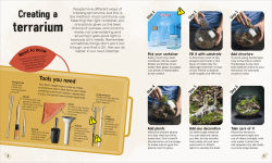 Alternative view 4 of Magical Miniature Worlds: 18 Terrarium Projects for Kids to Make and Grow