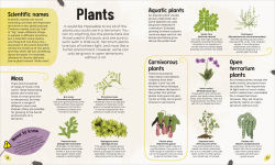 Alternative view 7 of Magical Miniature Worlds: 18 Terrarium Projects for Kids to Make and Grow