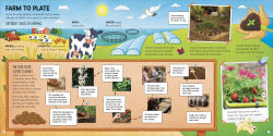 Alternative view 5 of Food Around the World