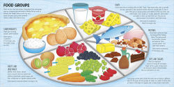 Alternative view 6 of Food Around the World