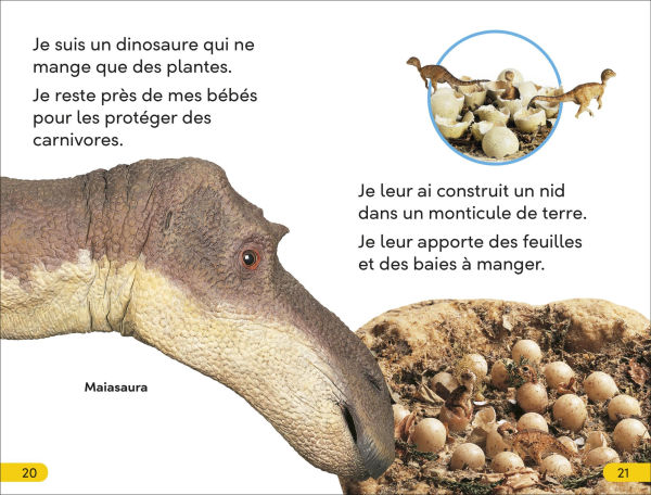 DK Super Readers Level 2 French Translation Dinosaur Dinners - Le DÃ®ner des dinosaures