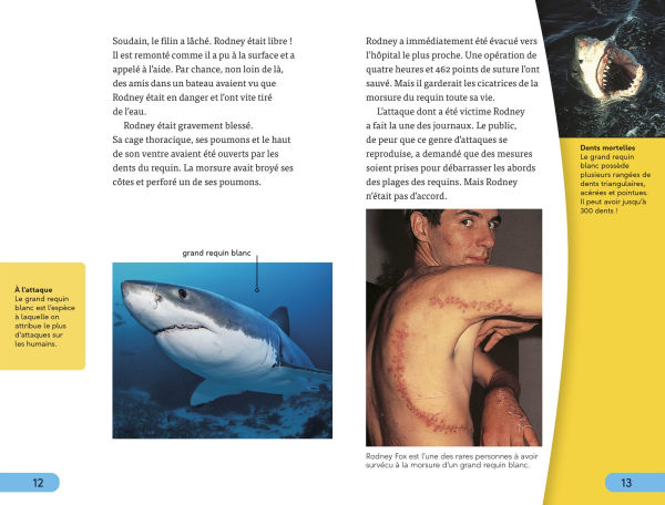 DK Super Readers Level 4 French Translation Shark Attack - Danger : Requins
