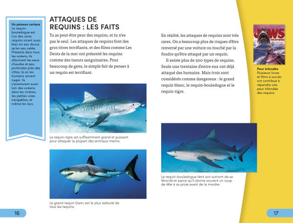DK Super Readers Level 4 French Translation Shark Attack - Danger : Requins