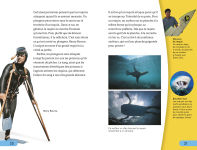 Alternative view 6 of DK Super Readers Level 4 French Translation Shark Attack - Danger : Requins