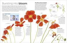 Alternative view 12 of Eyewitness Plant