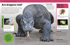 Alternative view 2 of Why? Animals: Brilliant Answers to Baffling Questions