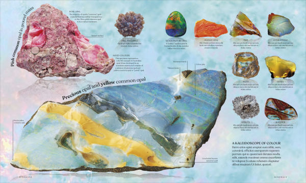 Treasures of the Earth: Rocks, Minerals, Crystals, and Gems