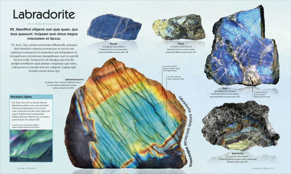 Treasures of the Earth: Rocks, Minerals, Crystals, and Gems
