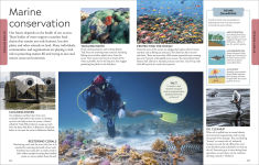Alternative view 11 of Ocean: A Visual Encyclopedia, 2nd Edition