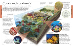 Alternative view 12 of Ocean: A Visual Encyclopedia, 2nd Edition