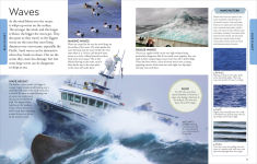 Alternative view 2 of Ocean: A Visual Encyclopedia, 2nd Edition