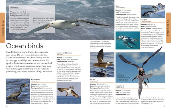 Ocean: A Visual Encyclopedia, 2nd Edition