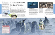 Alternative view 5 of Ocean: A Visual Encyclopedia, 2nd Edition