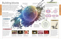 Alternative view 3 of Human Body A Visual Encyclopedia