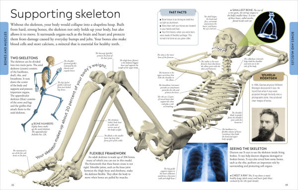 Human Body A Visual Encyclopedia