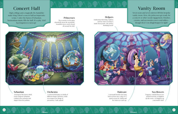 Disney Princess Enchanted Worlds: Look Inside the Spellbinding Kingdoms