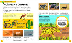 Alternative view 2 of La oruga muy hambrienta Mi primera enciclopedia de animales (The Very Hungry Caterpillar's Very First Animal Encyclopedia)