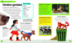 Alternative view 4 of La oruga muy hambrienta Mi primera enciclopedia de animales (The Very Hungry Caterpillar's Very First Animal Encyclopedia)