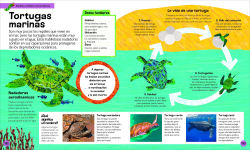 Alternative view 5 of La oruga muy hambrienta Mi primera enciclopedia de animales (The Very Hungry Caterpillar's Very First Animal Encyclopedia)