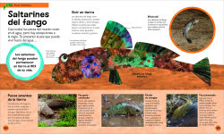 Alternative view 6 of La oruga muy hambrienta Mi primera enciclopedia de animales (The Very Hungry Caterpillar's Very First Animal Encyclopedia)