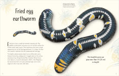 Alternative view 11 of An Anthology of Remarkable Bugs