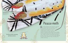 Alternative view 12 of An Anthology of Remarkable Bugs