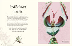 Alternative view 13 of An Anthology of Remarkable Bugs
