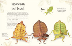 Alternative view 14 of An Anthology of Remarkable Bugs