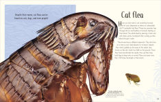 Alternative view 16 of An Anthology of Remarkable Bugs