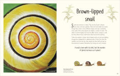 Alternative view 17 of An Anthology of Remarkable Bugs