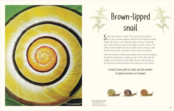 An Anthology of Remarkable Bugs