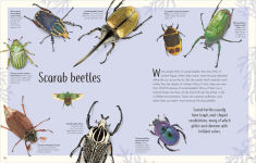 Alternative view 18 of An Anthology of Remarkable Bugs