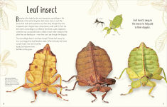 Alternative view 2 of An Anthology of Remarkable Bugs