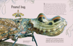 Alternative view 3 of An Anthology of Remarkable Bugs