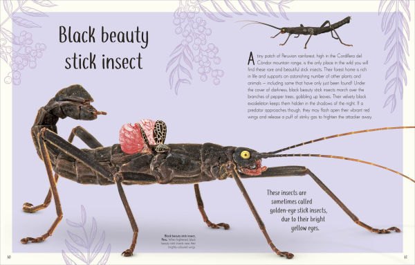 An Anthology of Remarkable Bugs