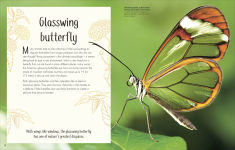 Alternative view 7 of An Anthology of Remarkable Bugs