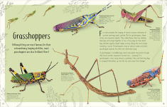 Alternative view 8 of An Anthology of Remarkable Bugs