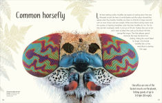 Alternative view 9 of An Anthology of Remarkable Bugs