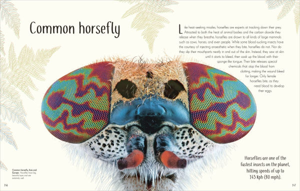An Anthology of Remarkable Bugs
